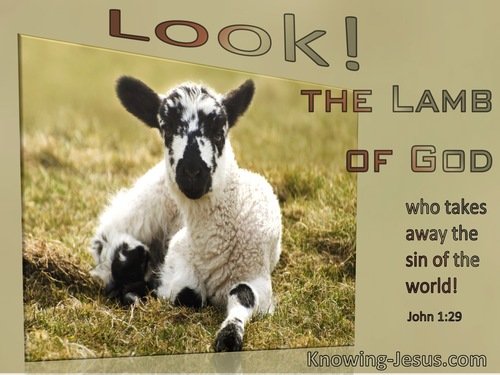 Lamb of God-John 1-29